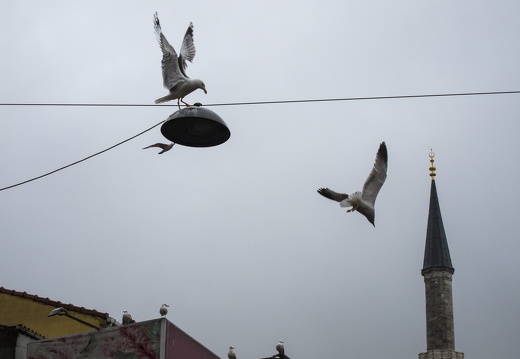 Istanbul-2013-04-08-134555