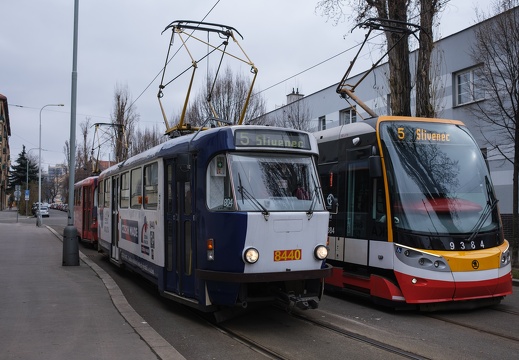 2024-03-03-105450