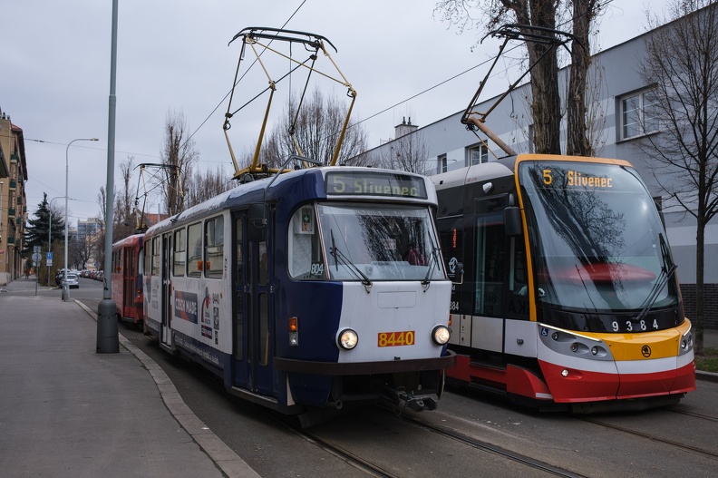 2024-03-03-105450.jpg