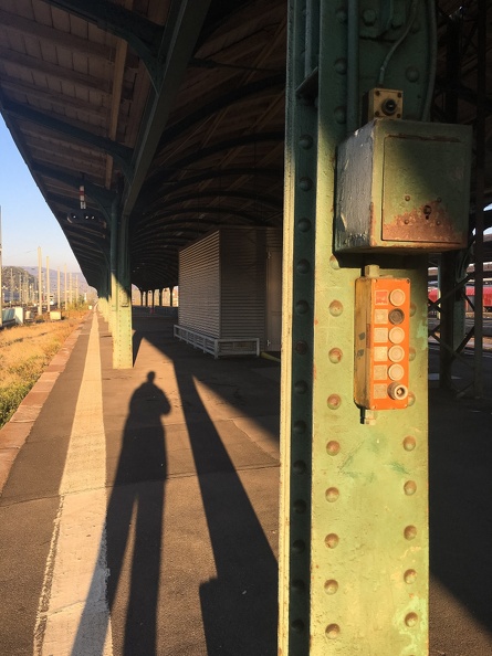 2018-10-11-084131.jpg