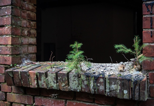 2019-12-27-150358